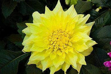 Xbox主机独占《上行战场》可能还会登陆PS5